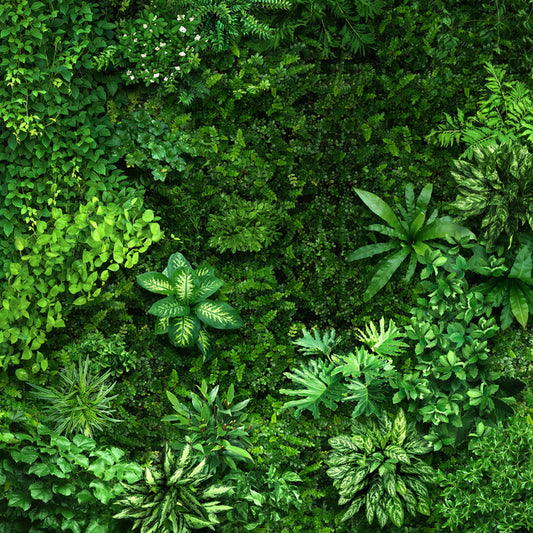 Leafy greens