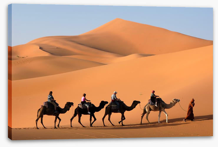 Camel convoy