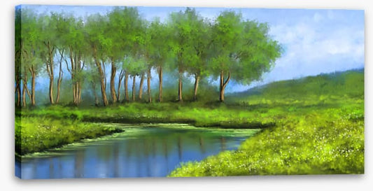 The river glade