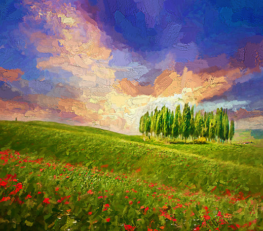 Summertime cypress