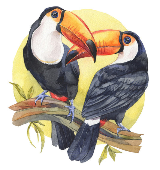 Toucan sun