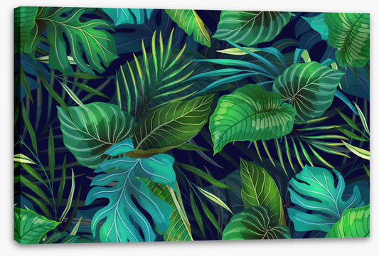 Midnight jungle