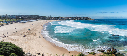 Bondi bay blues