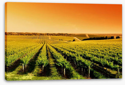 Adelaide
