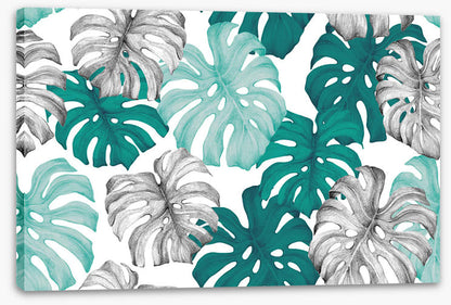 Turquoise shadows