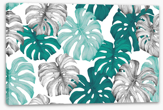 Turquoise shadows