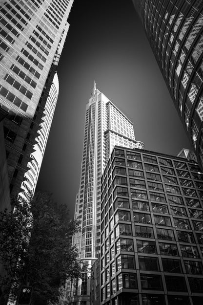 Sydney shadows 3