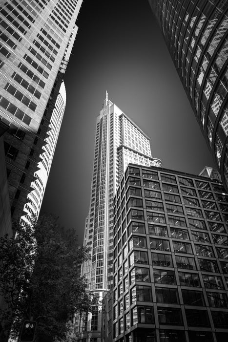 Sydney shadows 3