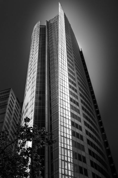 Sydney shadows 2