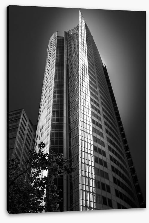 Sydney shadows 2