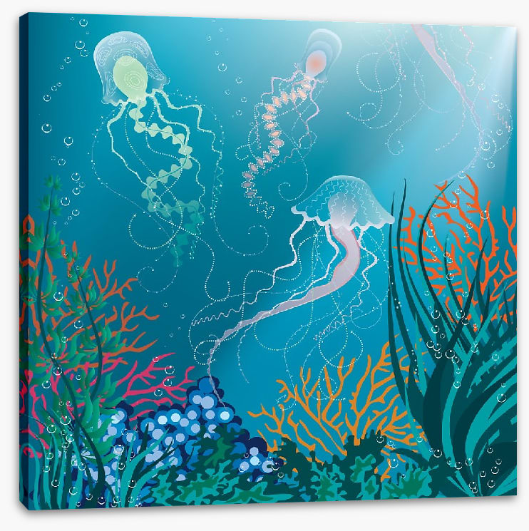 Jelly trio