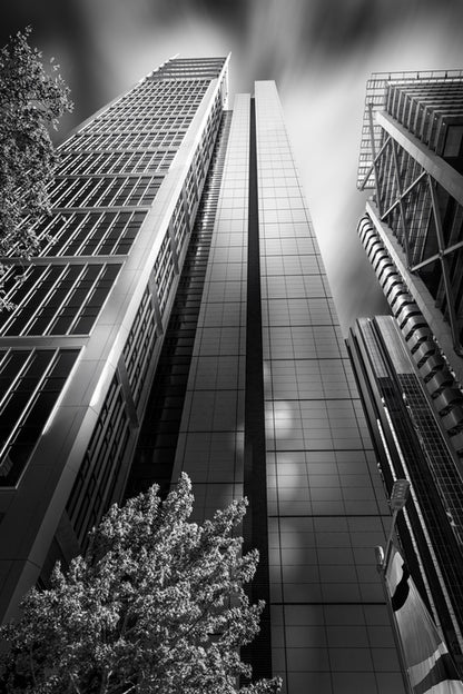 Sydney shadows 1
