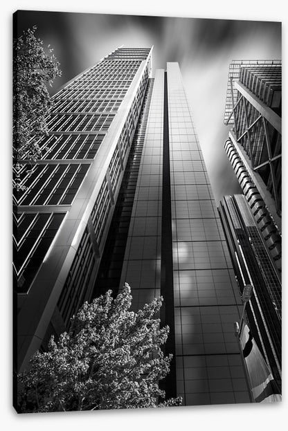 Sydney shadows 1