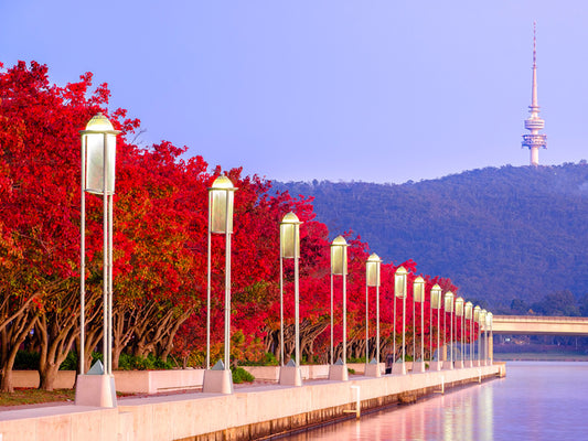 Lanterns by the lake