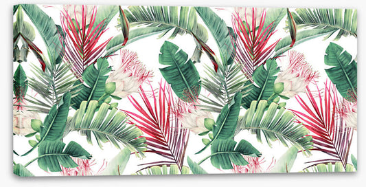 Fuchsia foliage