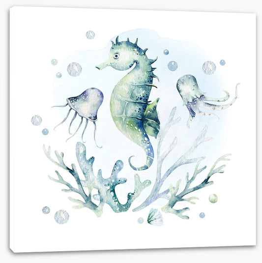 Softly softly seahorse