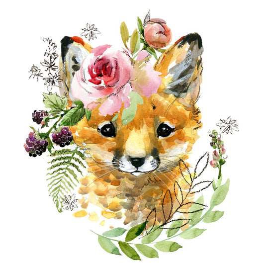 Rosy the fox
