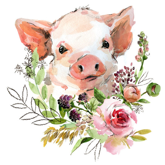 Rosy the pig