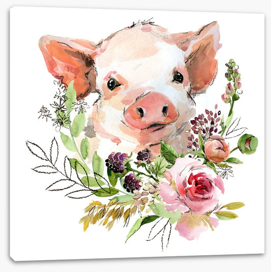 Rosy the pig