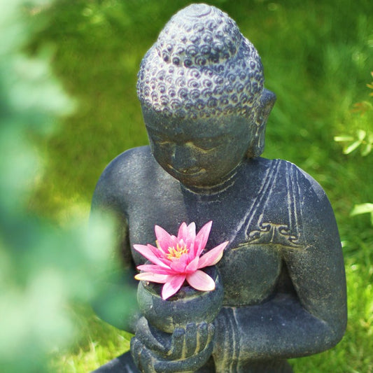 Pink lily buddha