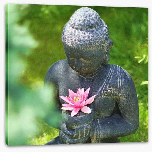 Pink lily buddha