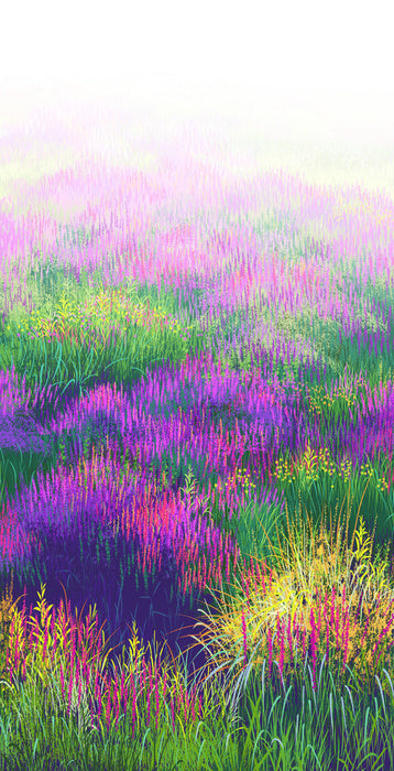 Lavender in the light