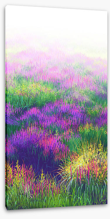 Lavender in the light