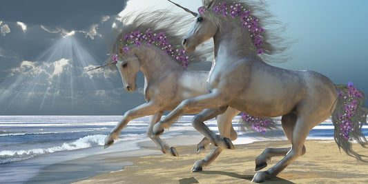 The unicorn beach