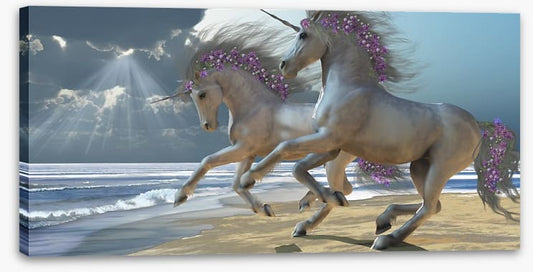 The unicorn beach