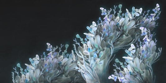 Coral me blue