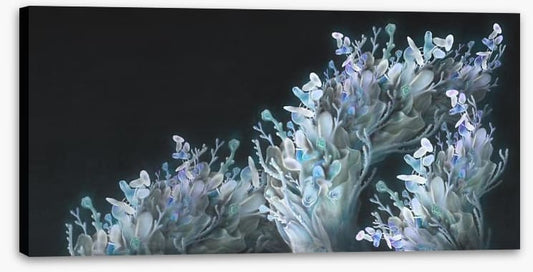 Coral me blue