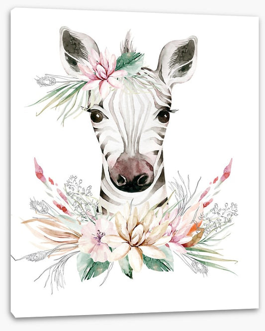 Little leafy zebra