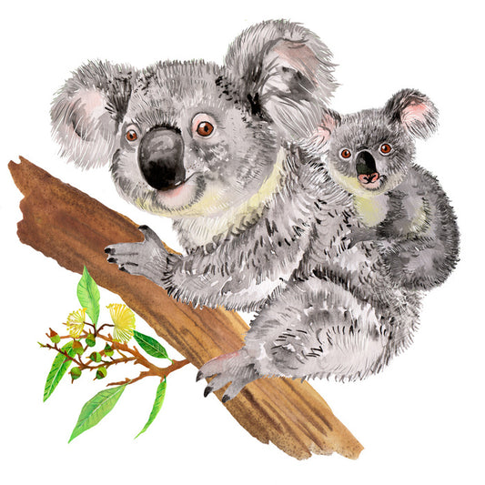 Koala ride