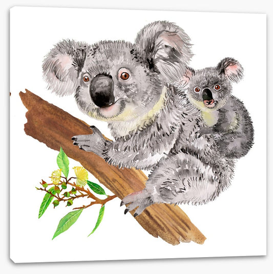 Koala ride