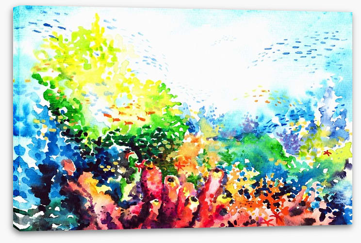 Colourful coral