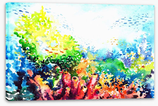 Colourful coral
