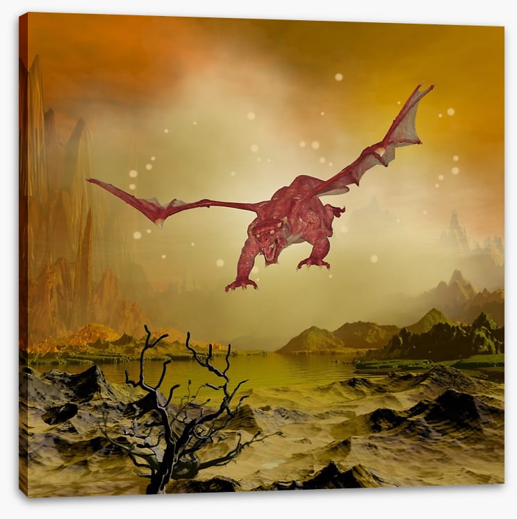 Dragons