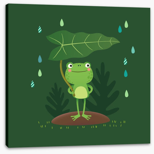 The dry frog