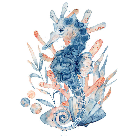 Seahorse blush