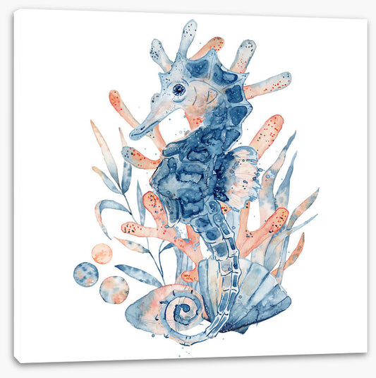 Seahorse blush
