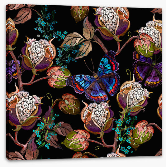 Butterflies