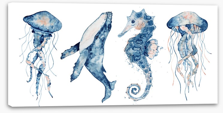 Sea life blush