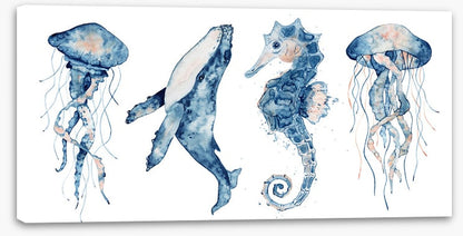 Sea life blush