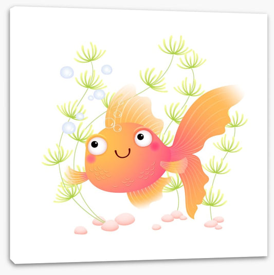 Goldfish grin