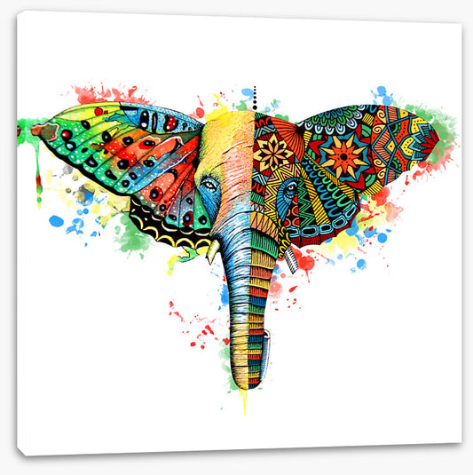 Elephant wings