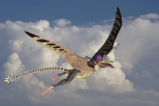 Peteinosaurus flight