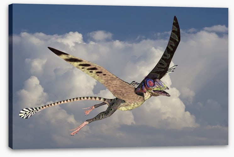 Peteinosaurus flight