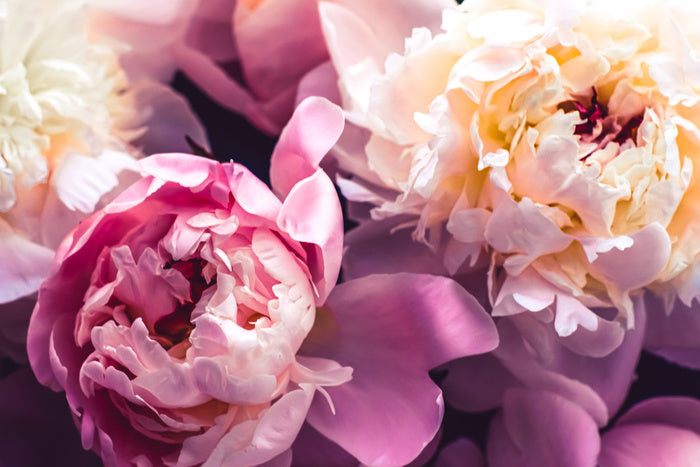 Love blooms