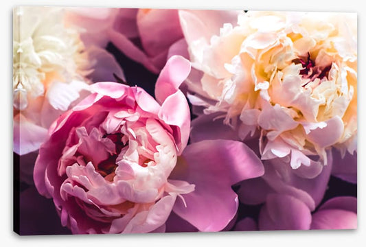 Love blooms