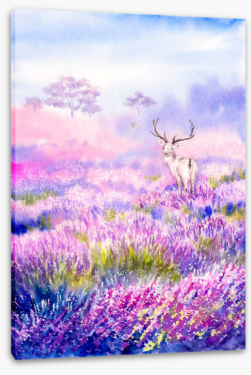 Among the lavender